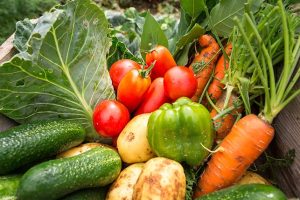 Food Garden