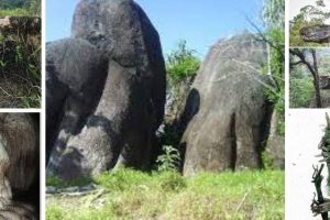 Korean di Batu Gajah, Malaysia: Sejarah, Budaya dan Pengalaman Unik